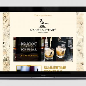 portfolio-m&s-email-hero2