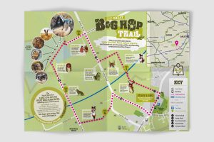 portfolio-hero-lwt-boghop4