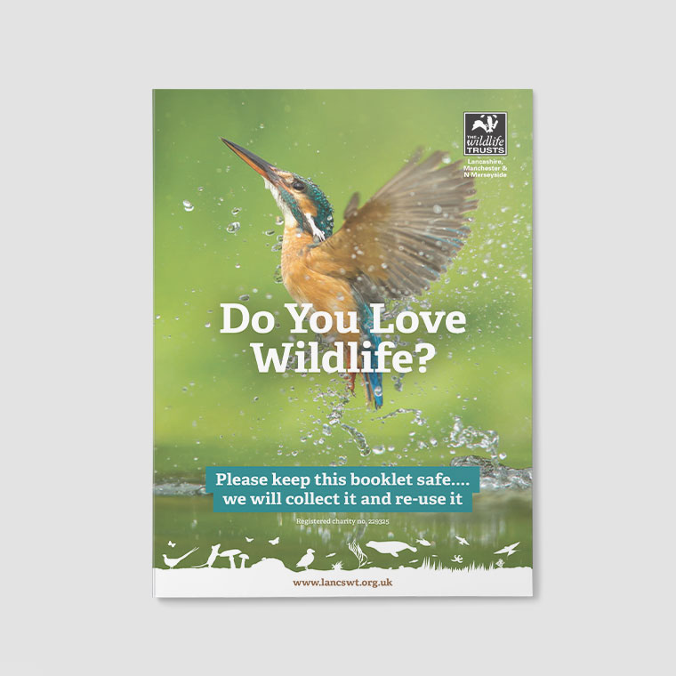 LWT: Marketing Leaflets and Flyers