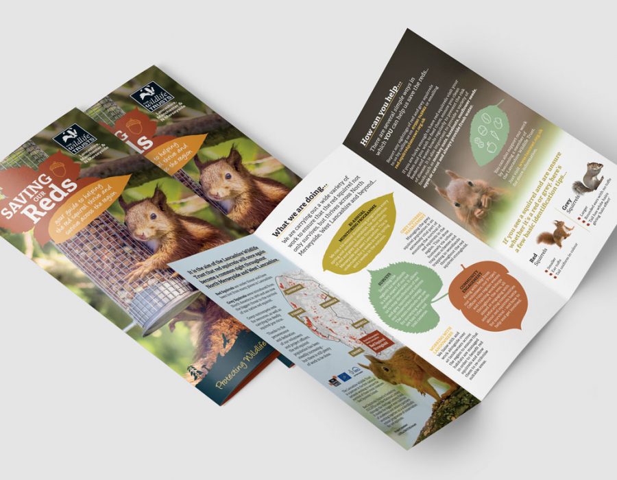 portfolio-hero-lwt-marketing02