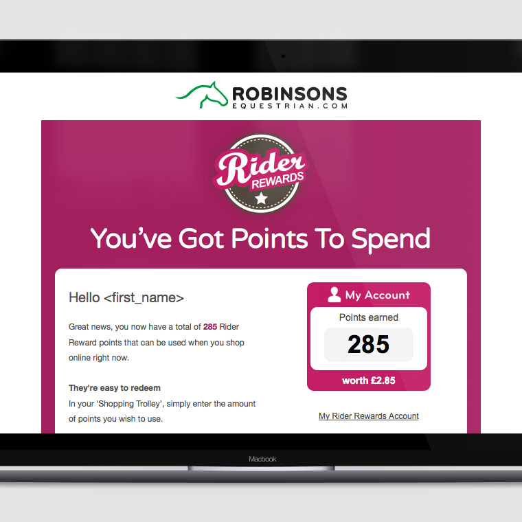 Robinsons Equestrian: Triggered Emails