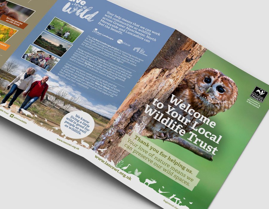 portfolio-lwt-leaflets01