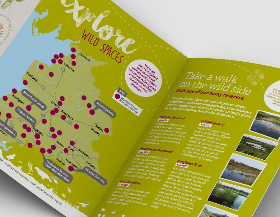 portfolio-lwt-leaflets03