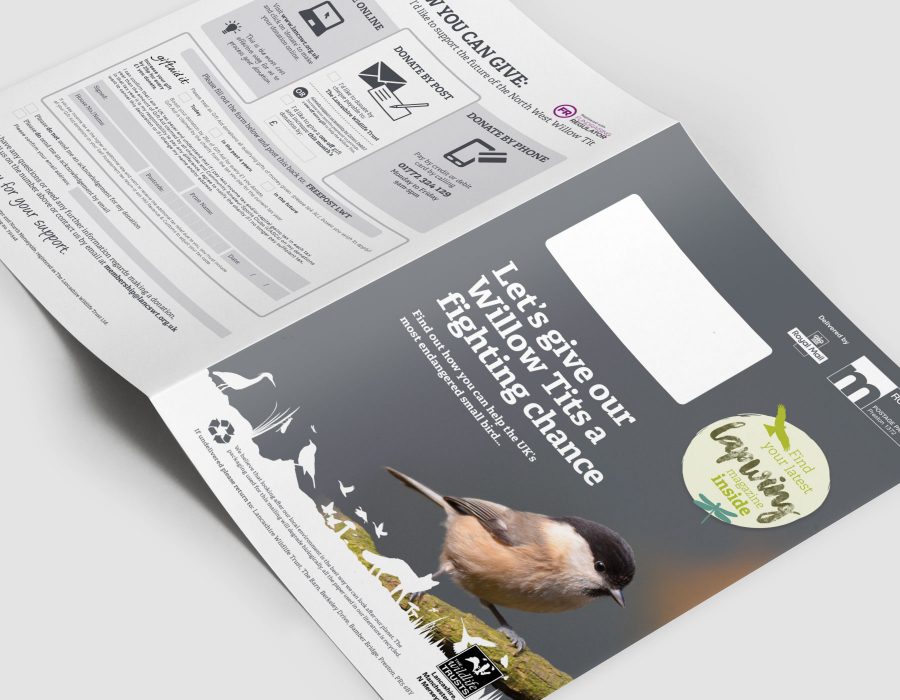 portfolio-lwt-leaflets05