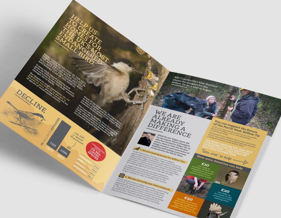 portfolio-lwt-leaflets06