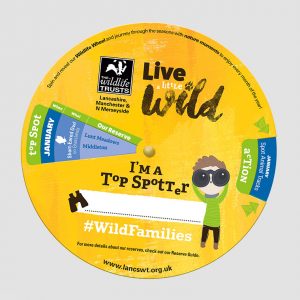 portfolio-lwt-wheel-livealittlewild