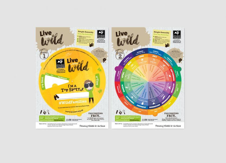 portfolio-lwt-wheel-livealittlewild02 portfolio-lwt-wheel-livealittlewild02