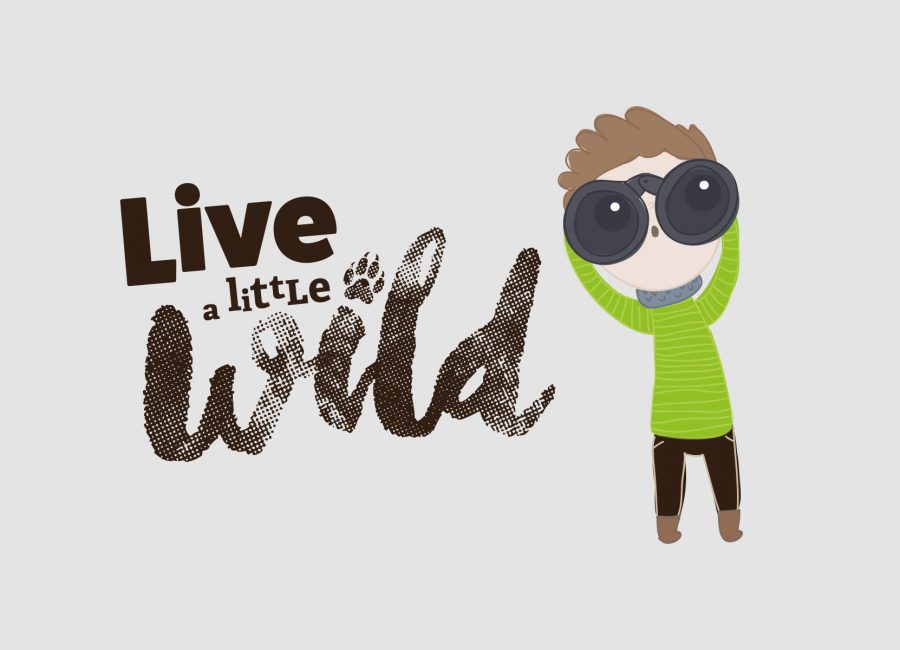 portfolio-lwt-wheel-livealittlewild03 portfolio-lwt-wheel-livealittlewild03